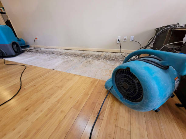 Professional Structural Drying technician working in Collegedale, TN